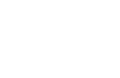 Organizational Coachings